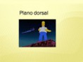 /album/planos/diapositiva5-jpg/